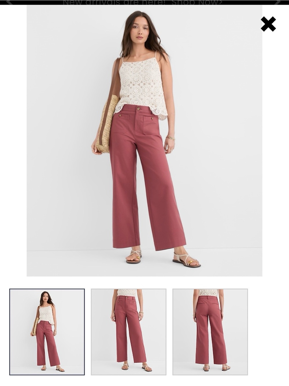 LOFT Palmer Wide Leg Crop Pants in BLUE